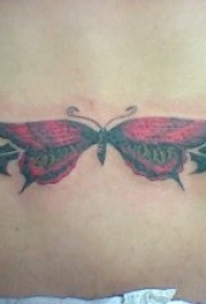 腰部扁平的黑色和红色蝴蝶纹身图案