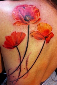 背部美丽的红罂粟花纹身图案