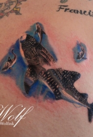 写实风格背部彩色的虎鲨鱼纹身图案