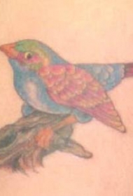 写实逼真的小鸟与树枝纹身图案