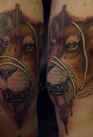 腿部可怕的彩色血腥狮子与箭头绳子纹身图案