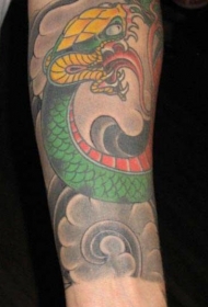 手臂亚洲风格的彩色蛇纹身图案