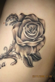 简单的黑灰玫瑰和叶子手臂纹身图案