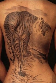 背部亚洲风格的老虎黑灰纹身图案