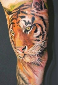 写实的彩绘老虎头像纹身图案