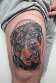 大腿美丽多彩的罗威纳犬头纹身图案