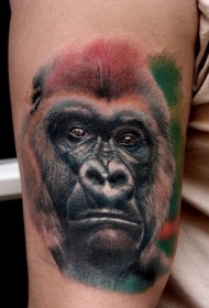 手臂很酷的写实逼真大猩猩头纹身图案