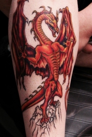 小腿可怕的红色飞龙纹身图案