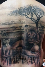 背部惊人逼真的黑色狮子家庭在野外纹身图案