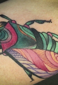 手臂上生动色彩的昆虫纹身图案