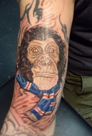 手臂独特的彩色黑猩猩和围巾纹身图案