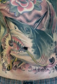背部old school彩色的鲨鱼纹身图案
