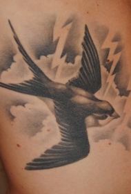 侧肋燕鸟飞在天空纹身图案