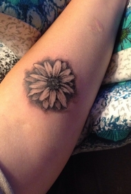 手臂简单的小雏菊花朵纹身图案