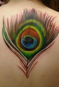 背部漂亮的彩色孔雀羽毛纹身图案