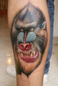 小腿可怕的彩色狒狒头纹身图案