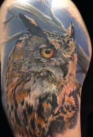 写实的猫头鹰大臂纹身图案