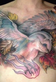 胸部可爱的七彩猫头鹰纹身图案
