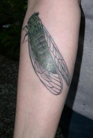 手臂写实逼真的绿色蝉纹身图案