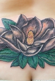 腰部美丽的白莲花纹身图案