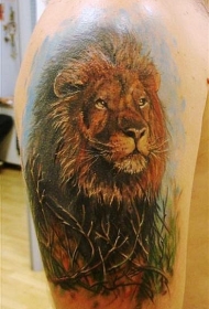 可爱的彩色狮子和树枝纹身图案