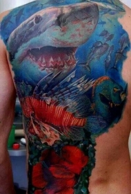 背部彩色鲨鱼和海洋鱼类纹身图案