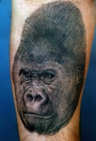 手臂黑色的大猩猩头部纹身图案