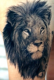狮子头像黑灰手臂纹身图案