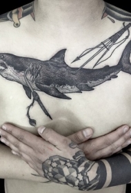 胸部黑色雕刻风格鲨鱼和鱼叉纹身图案