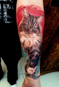 小臂华丽写实的猫肖像纹身图案