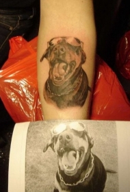 手臂可爱的灰色杜宾犬和眼镜纹身图案