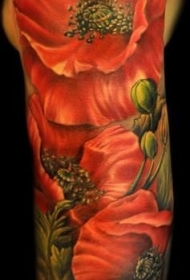 可爱的红色罂粟花手臂纹身图案