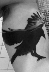 大臂黑色鹰形鸟纹身图案