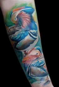 手臂写实风格彩色美丽的鸳鸯纹身图案