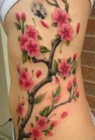 侧肋彩色鲜艳的樱花纹身图案