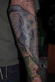 手臂美丽的彩色天然大象与骨头纹身图案