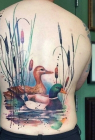 背部可爱写实的彩色游泳鸭子纹身图案