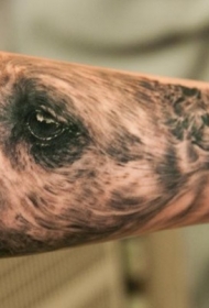小臂写实逼真的狗头像和字母纹身图案