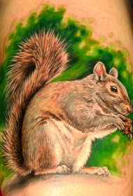 美丽的松鼠与坚果森林纹身图案