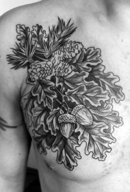 胸部漂亮的黑白植物叶子橡果纹身图案