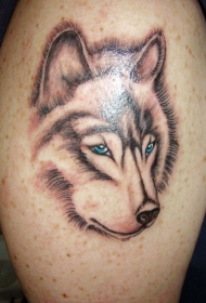 严肃的狼与蓝色眼睛纹身图案