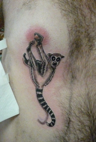 胸部有趣的黑白狐猴纹身图案