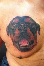 可爱的罗威纳犬肖像胸部纹身图案