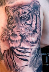 背部黑色老虎纹身图案
