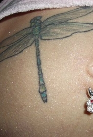 腹部蓝色线条蜻蜓纹身图案