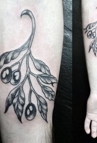 小臂黑色的橄榄枝纹身图案