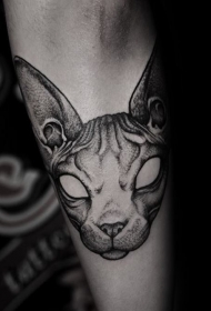 小臂个性的黑色可怕无毛猫头纹身图案