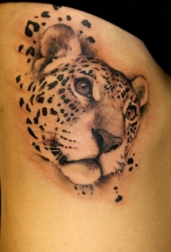 侧肋可爱的黑白猎豹头部纹身图片