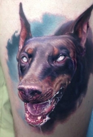 愤怒的杜宾犬和蓝色背景纹身图案