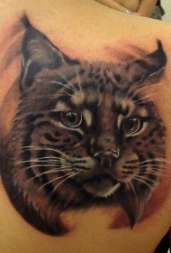 背部可爱的彩色猫纹身图案